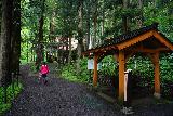 Tamasudare_079_07082023 - Mom approaching the Mitake Shrine before the Tamasudare Falls