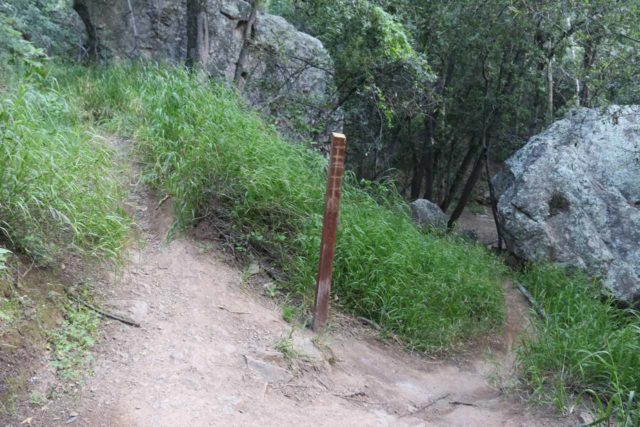 Tangerine_Falls_17_027_04022017 - On my most recent visit to Tangerine Falls in 2017, I noticed this pole at a trail junction where I went right to descend towards a dry creek with embankment obstacle. This pole wasn't there on our first visit back in 2009