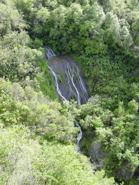 Tangoio_Falls_011_11152004 - Tangoio Falls