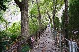 Taroko_022_06292023 - Following along the developed trail for the Baiyang Trail