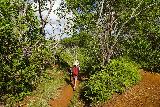 Tarzan_Falls_033_11202022 - Continuing past another false trail on the way down to Tarzan Falls