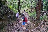 Tarzan_Falls_043_11202022 - Pink ribbon by a tree as Chris continued to lead Julie and Tahia down the path to Tarzan Falls