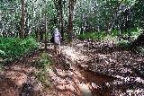 Tarzan_Falls_053_11202022 - Julie sloshing her way past more muddy terrain on the way down to Tarzan Falls