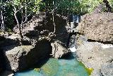 Tarzan_Falls_067_11202022 - Looking upstream from the brink of the main drop of Tarzan Falls