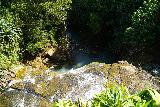 Tarzan_Falls_070_11202022 - Precariously peering over the brink of the Tarzan Falls