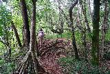 Tarzan_Falls_102_11202022 - Following Julie up the steep and muddy path leading us out of the base of Tarzan Falls