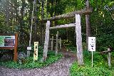 Tatsuzawa_Fudo_004_07222023 - The series of wooden torii gates at the start of the Tatsuzawa Fudo Falls walk