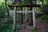 Tatsuzawa_Fudo_006_07222023 - Walking through one of the torii gates flanked by tall trees on the way to Tatsuzawa Fudo Falls