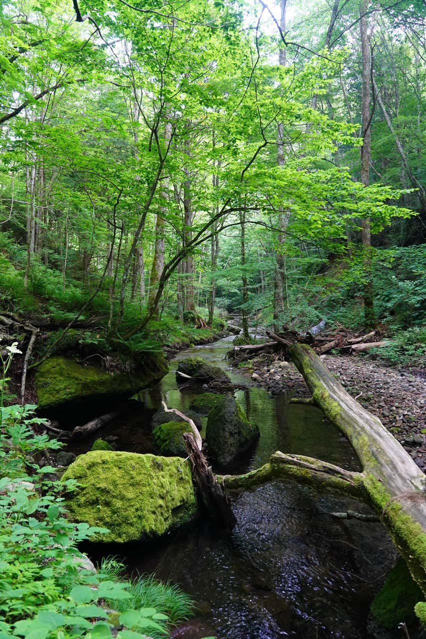 Tatsuzawa Fudo Waterfall - Popular Spot in Adatara Mountains