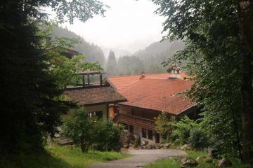 Tatzelwurm_Waterfall_022_06282018