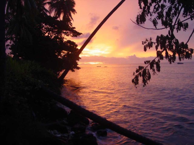 Taveuni_001_12302005