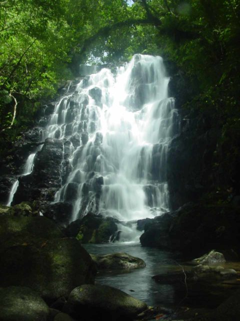 Taveuni_plantation_tour_010_01012006 - Waibula Falls