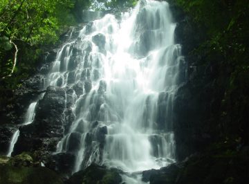 Waibula Falls is an attractive waterfall that sits in a Danish-owned plantation in eastern Taveuni. It is the last highlight of the plantation tour which can be arranged...