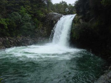 Tawhai Falls (pronounced 