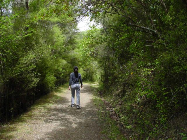 Te_Reinga_Falls_001_11142004 - Julie on the short walk leading to the overlook of Te Reinga Falls