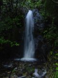 Te_Urewera_003_11142004 - Totarapapa Falls