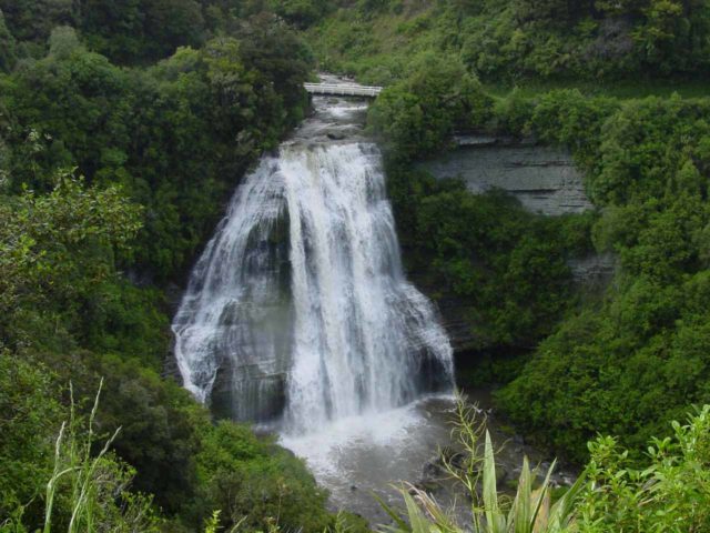 Te_Urewera_013_11142004 - Mokau Falls
