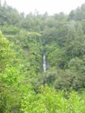Te_Urewera_040_11142004 - Looking back towards Tauwhare Falls