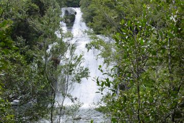 The Aniwaniwa Falls (meaning 