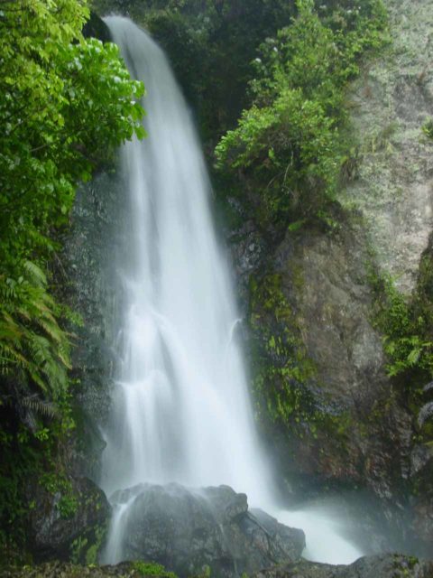 Te_Wairoa_005_11132004 - Te Wairoa Falls