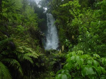 Te Wairoa Falls (also called Wairere Falls) was our waterfalling excuse to check out the tragic Buried Village of Te Wairoa.  Like the ancient Roman city of Pompeii being buried by the pyroclastic...