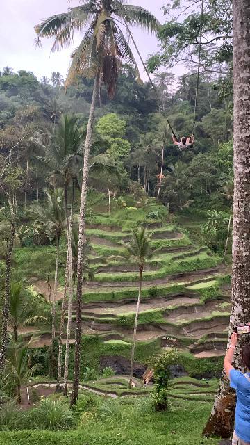 Tegallalang_032_iPhone_06182022 - The Tegallalang Rice Terraces were actually closer to the Leke Leke Waterfall than Ubud so it might make sense to visit the terraces before getting higher up the mountains to visit a waterfall like the Batu Lantang Waterfall