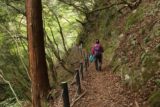 Tendaki_035_10222016 - Continuing on the trail to Tendaki Falls