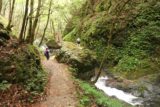 Tendaki_182_10222016 - Continuing on the long downhill hike back from Tendaki Falls