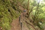 Tendaki_196_10222016 - The trail hugging a ledge as we made our way back from Tendaki Falls