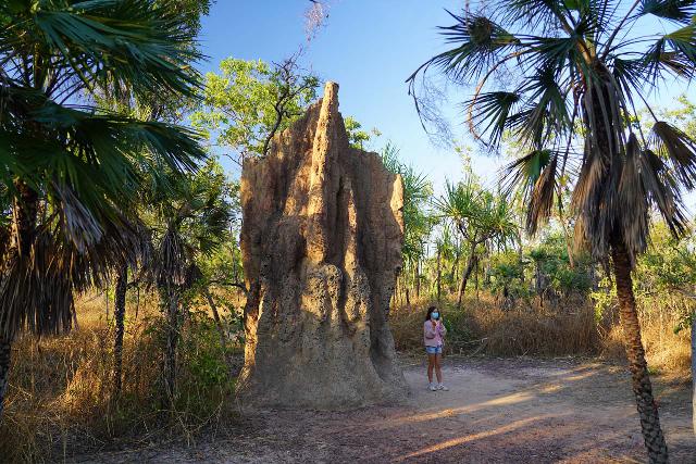 Termite_Mounds_021_06152022 - Just east of the Florence Falls and Buley Rockhole access road turnoff was the Magnetic Termite Mounds where some of these termite byproducts ended up being way taller than us