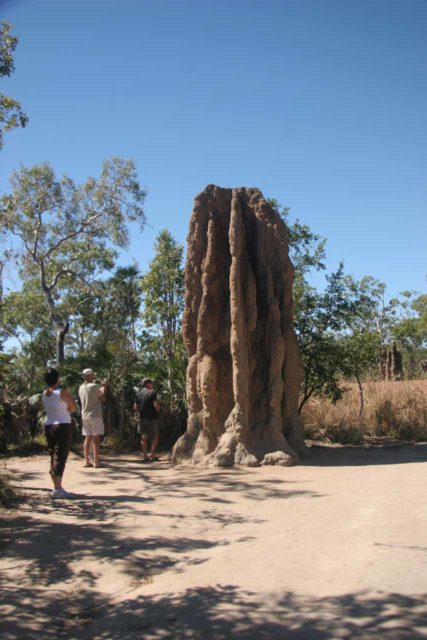 Termite_Mounds_023_06042006 - Near Florence Falls (on the way to Wangi Falls in the western side of Litchfield National Park) were these giant termite mounds, many of which were much taller than we were