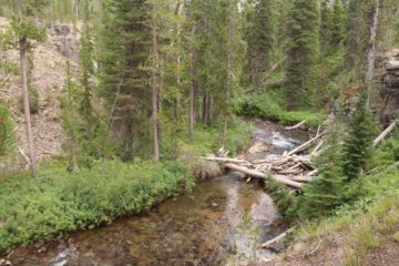 Terraced_Falls_17_013_08132017