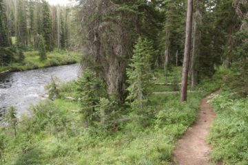 Terraced_Falls_17_126_08132017