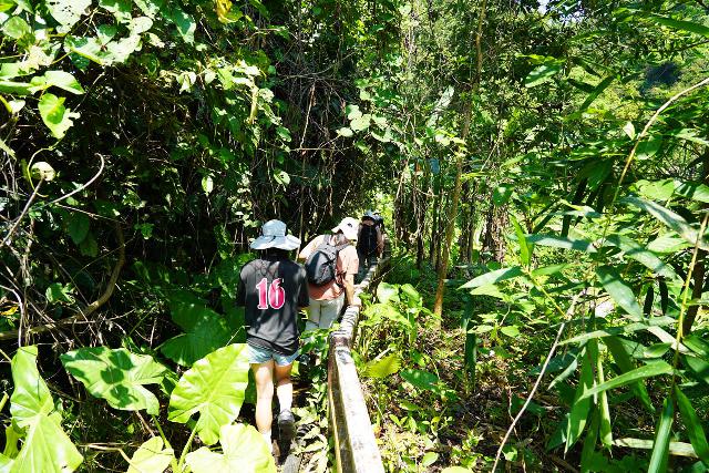 Thac_Grang_007_04202025 - Following the trail to Thac Grang Waterfall that was defined but was getting overgrown in spots