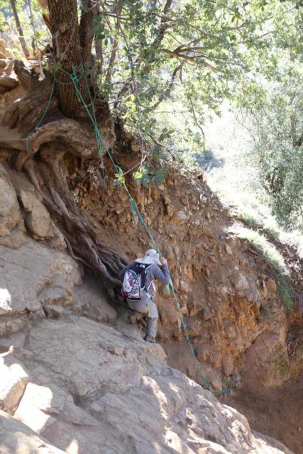 Three_Sisters_Falls_152_01242016 - Julie using the rope tied to a root-exposed tree to go down this pretty scary rock wall near the bottom of the descent to Boulder Creek