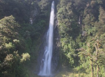 Thunder Creek Falls was one of the more well-known waterfalls in the Haast River Valley section of Mt Aspiring National Park.  Julie and I sensed it was popular because both times we made a visit...