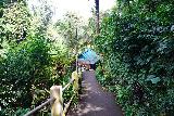 Tibumana_021_06172022 - Descending a narrow path towards a warung on the way to the trail fork leading to the Tibumana Waterfall