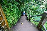Tibumana_023_06172022 - Going down the steep steps in the direction of the Tibumana Waterfall