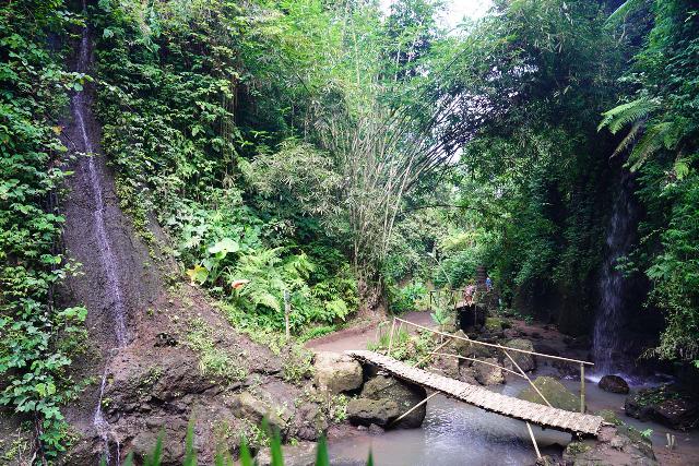 Tibumana_058_06172022 - Looking back at a pair of intermediate waterfalls flanking the pair of bridges on the path to the Tibumana Waterfall