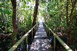 Tjaetaba_Falls_009_06152022 - Crossing a footbridge over Greenant Creek, I believe, as we went through a monsoon jungle en route to Tjaetaba Falls