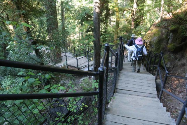 Toketee_Falls_044_07142016 - Dad and Mom making their way down the steps to the overlook of Toketee Falls at the end of the official trail