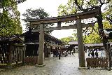 Tokyo_177_04062023 - Looking back towards the main courtyard through the torii gate from the side perimeter of the main area in the Meiji Jingu Shrine Complex in Tokyo