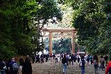 Tokyo_185_04062023 - Getting closer to exiting the Meiji Jingu Shrine Complex in Tokyo through that giant wooden torii gate