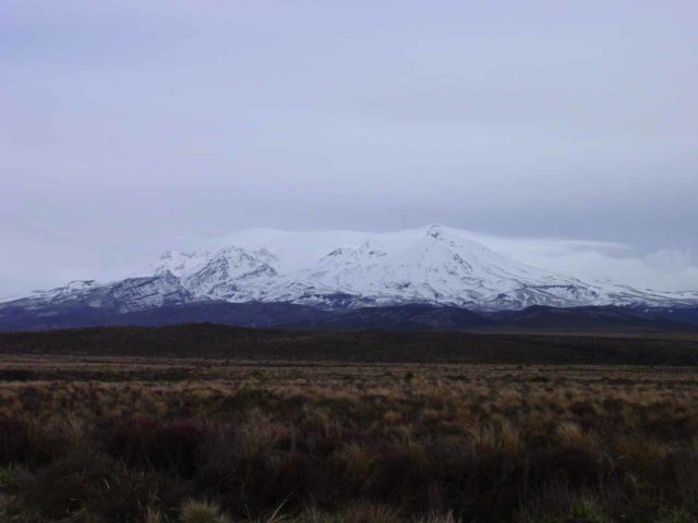 Tongariro_Desert_Road_006_11162004