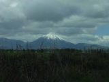 Tongariro_Hwy_47_007_11162004 - Looking towards Mt Ngauruhoe from SH47
