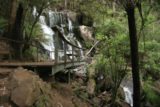 Toorongo_Falls_018_11112006 - The viewing deck splitting Toorongo Falls