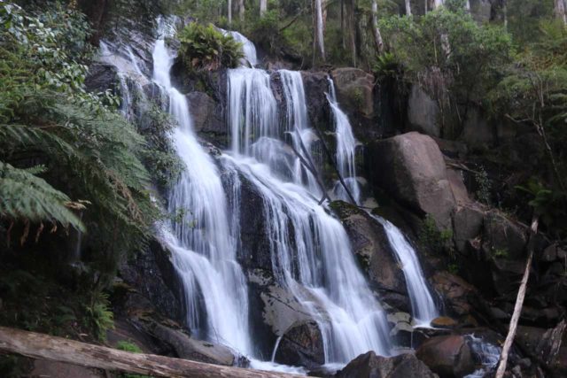 Toorongo_Falls_17_032_11222017 - Toorongo Falls