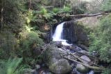 Toorongo_Falls_17_058_11222017 - The diminutive yet gushing Amphitheatre Falls as seen during my November 2017 visit