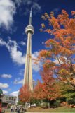 Toronto_172_10142013 - Looking back at the CN Tower through Autumn foliage while Tahia was busy playing at the playground