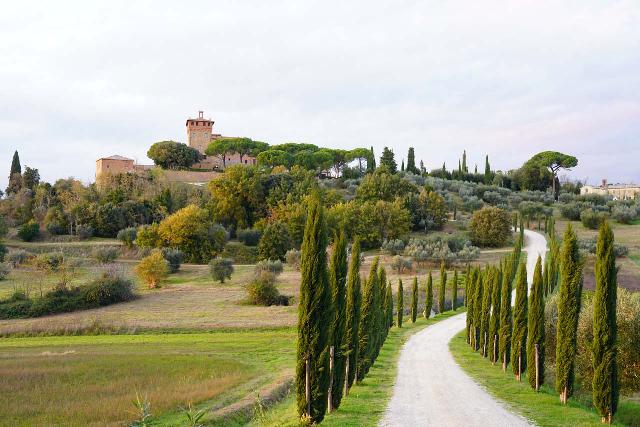 This farm and estate is an example of an estate on an idyllic Tuscan farm or vineyard